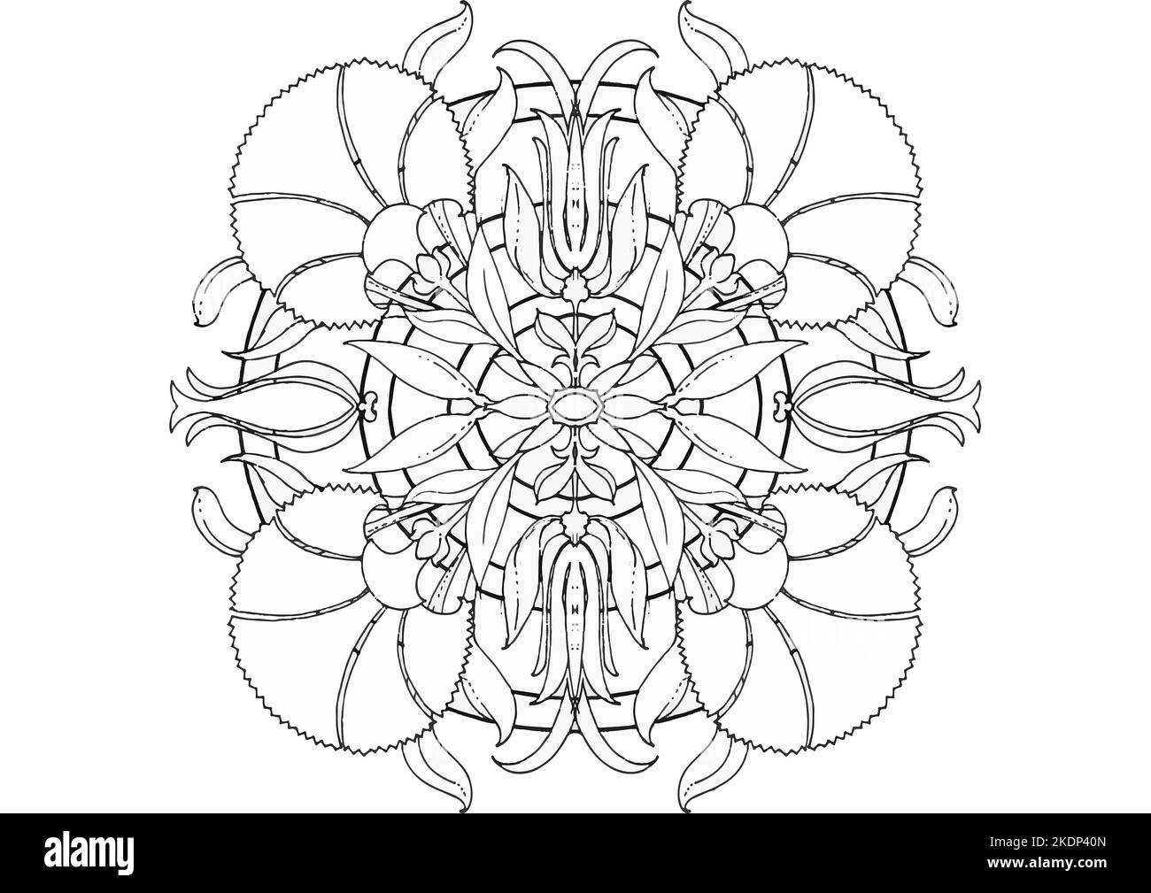 Adult coloring book black and white stock photos images