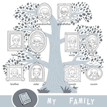Premium vector vector cartoon family tree with images of people in frames a visual dictionary of family members