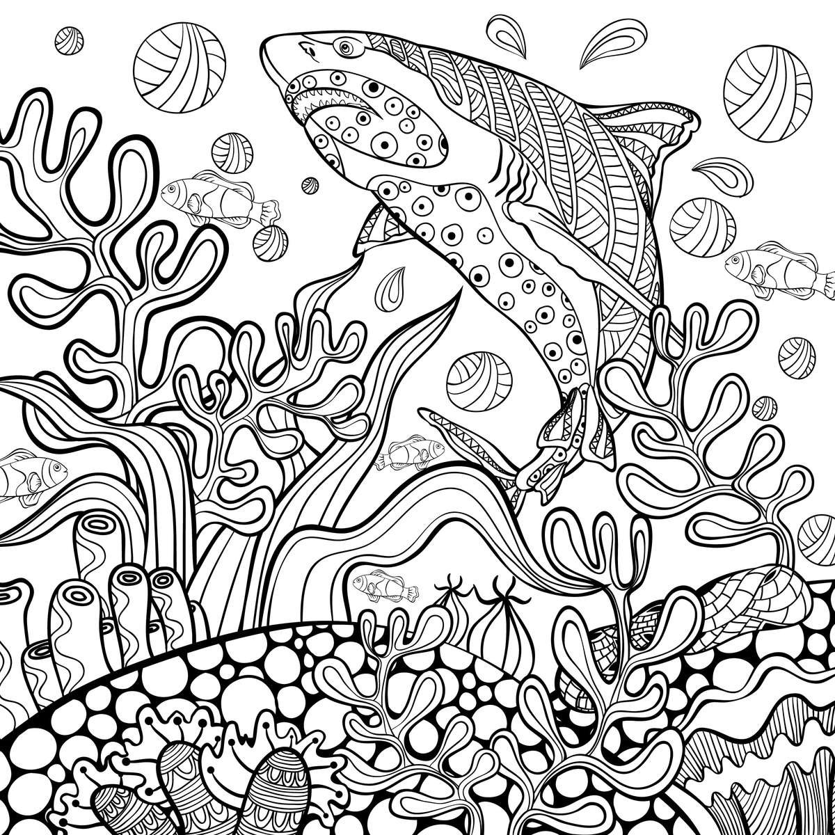 Adult coloring book set