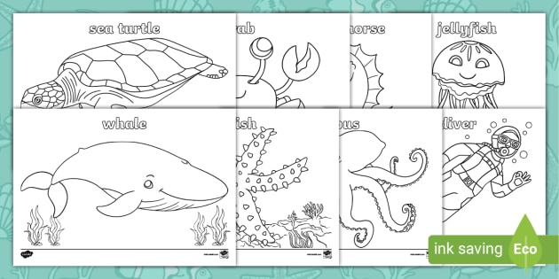 Under the sea picture and word louring sheets