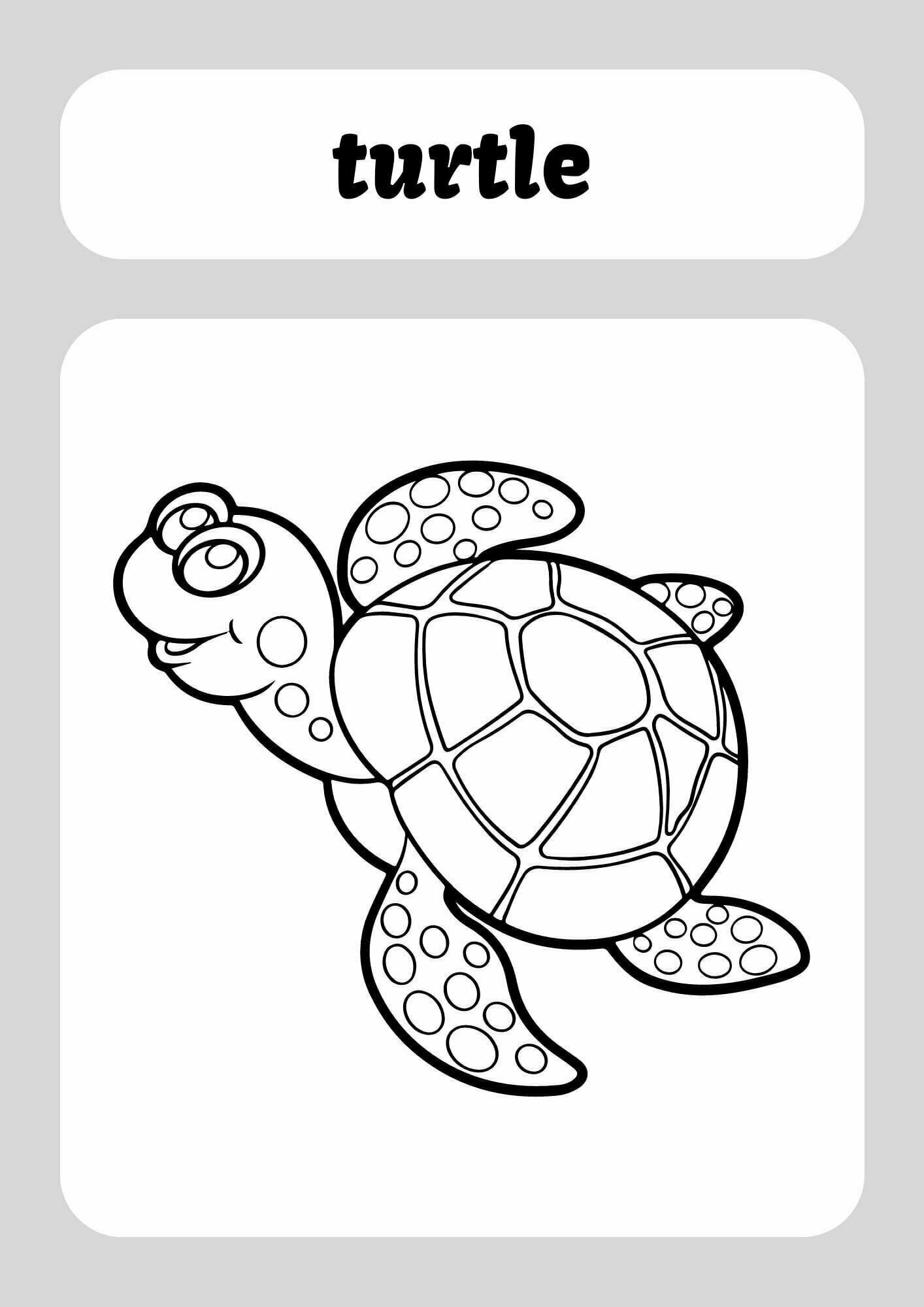Under the sea coloring pages worksheet