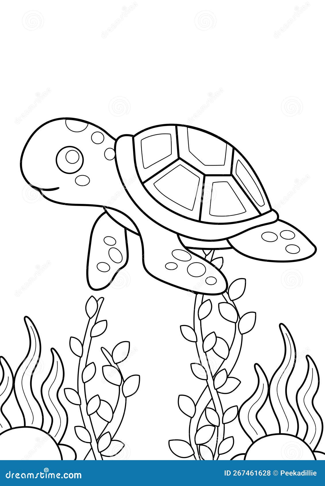 Underwater animals turtle coloring pages for kids and adult stock illustration