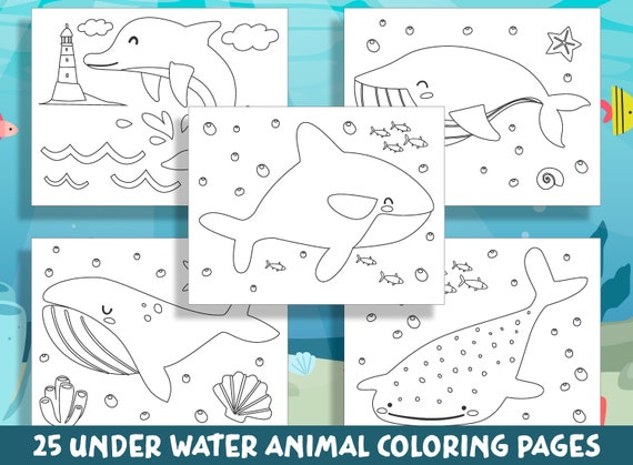 Fun and engaging underwater animal coloring pages for preschool and kindergarten pdf file instant download