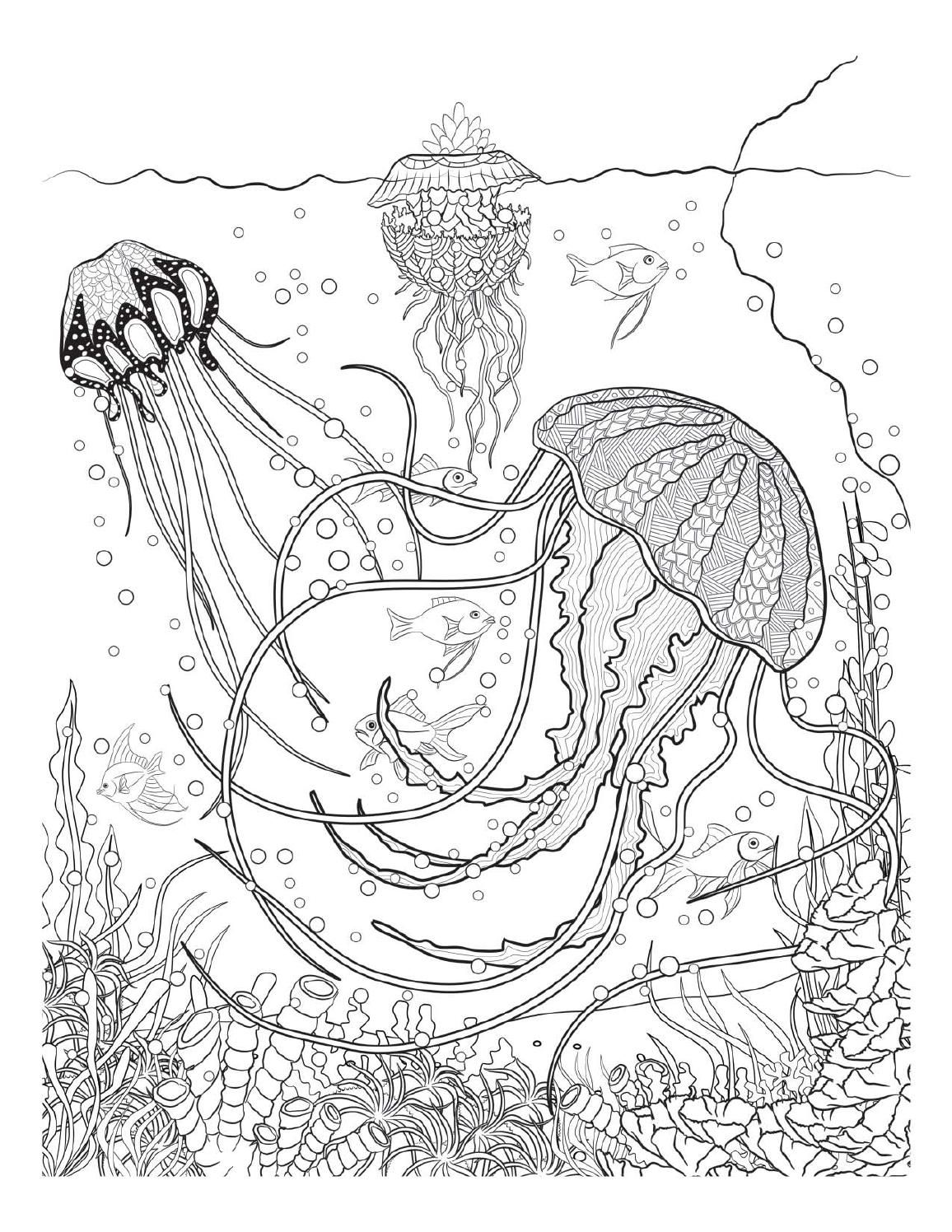 Oceana coloring books animal coloring pages adult coloring pages