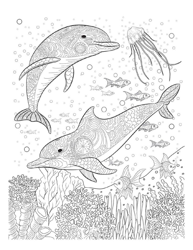 Oceana dolphin coloring pages animal coloring pages ocean coloring pages