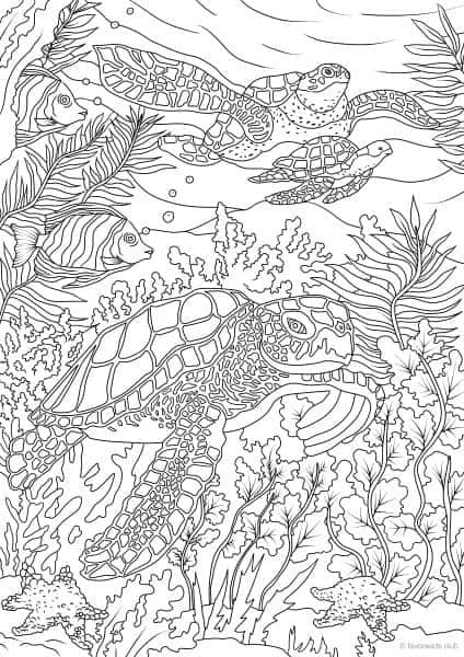 Playful turtles are chasing each other under the water why dont you join the fun anâ turtle coloring pages ocean coloring pages printable adult coloring pages