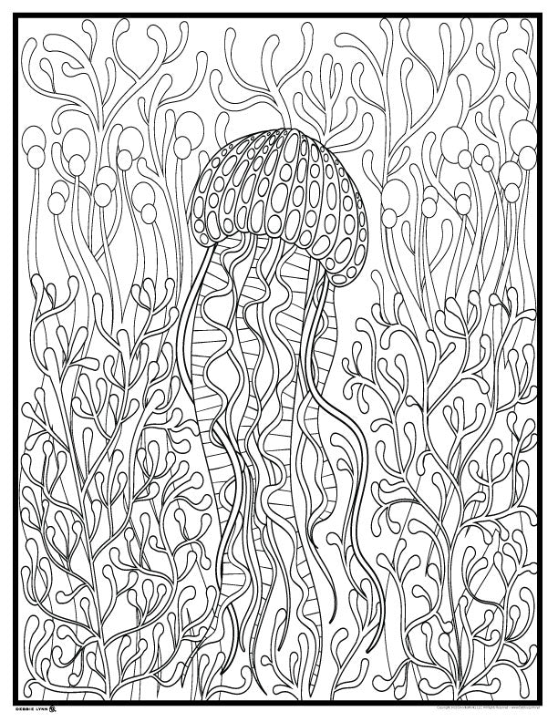 Sea life mini coloring ebook â debbie lynn