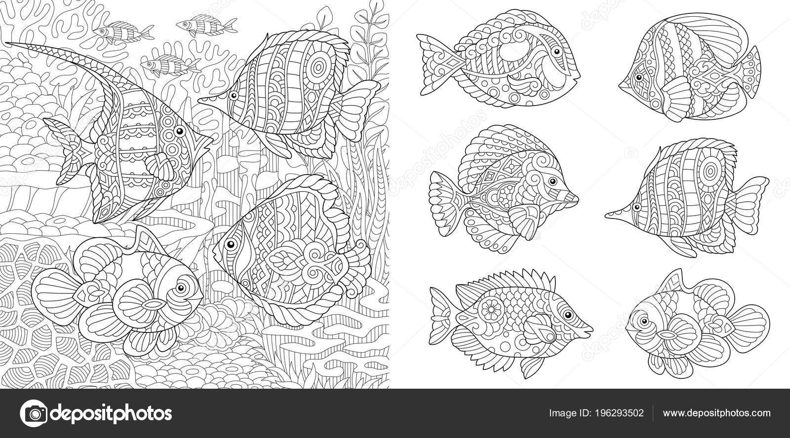 Underwater ocean world shoal tropical fishes different species coloring pages stock vector by sybirko