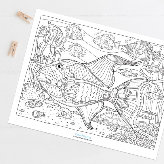 Tropical under the sea coloring page tropical fish and coral adult coloring sheet triggerfish printable or digital