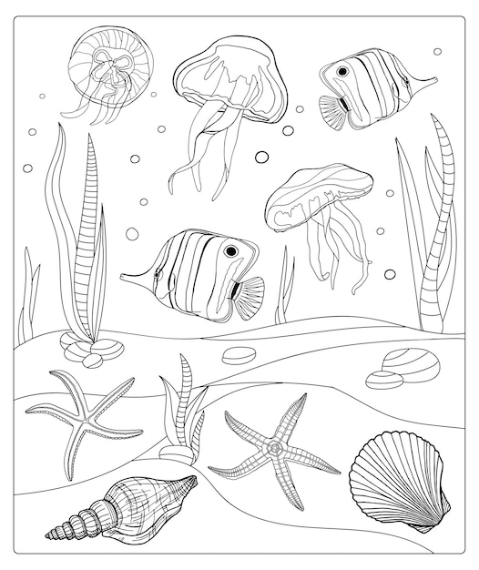Premium vector underwater coloring page outline marine with tropical fish seashell jellyfish and starfish