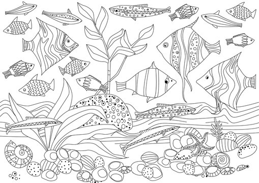 Underwater aquatic coloring book images â browse photos vectors and video