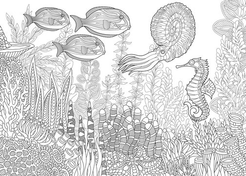 Underwater aquatic coloring book images â browse photos vectors and video