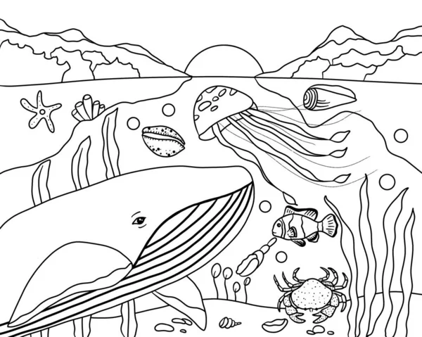 Coloring book coloring page underwater world fish shell stock illustration by maryia