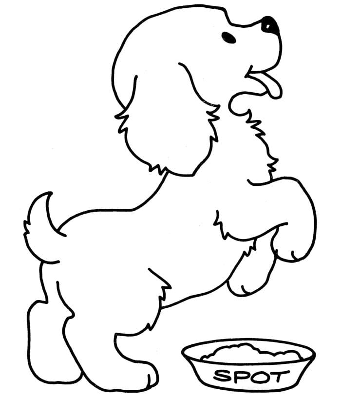 Animal colouring pages free download print