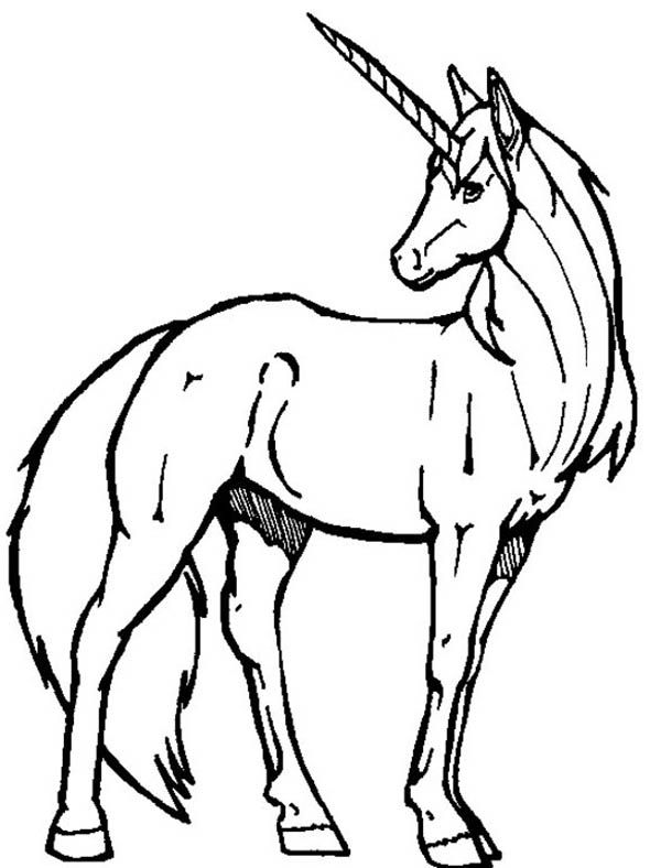 A realistic drawing of unicorn coloring page unicorn drawing unicorn coloring pages realistic drawings