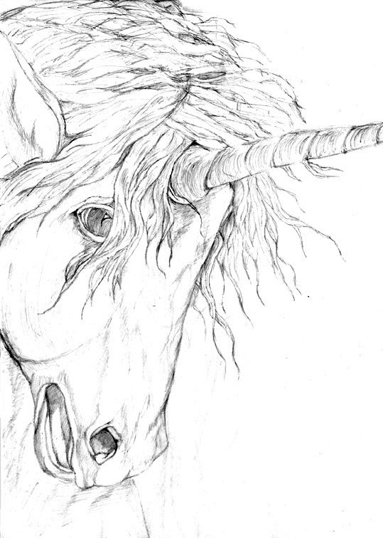 Unicorn horse coloring pages unicorn coloring pages horse coloring