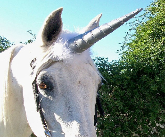 Unicorn horn horse attachment