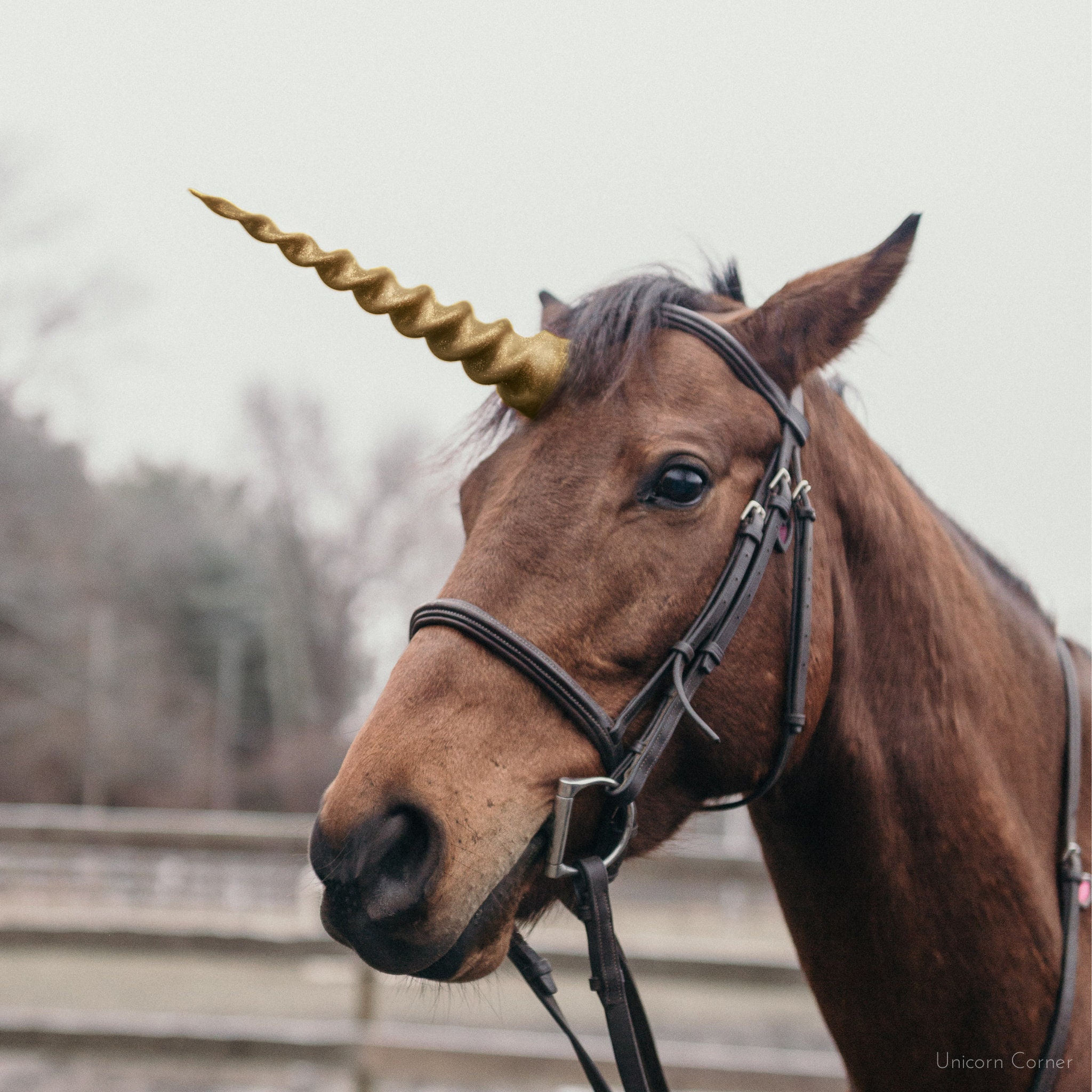 Realistic unicorn horn for horses or ponies unicorn browband with adjustable straps gift for horse lover unicorn costume for horse
