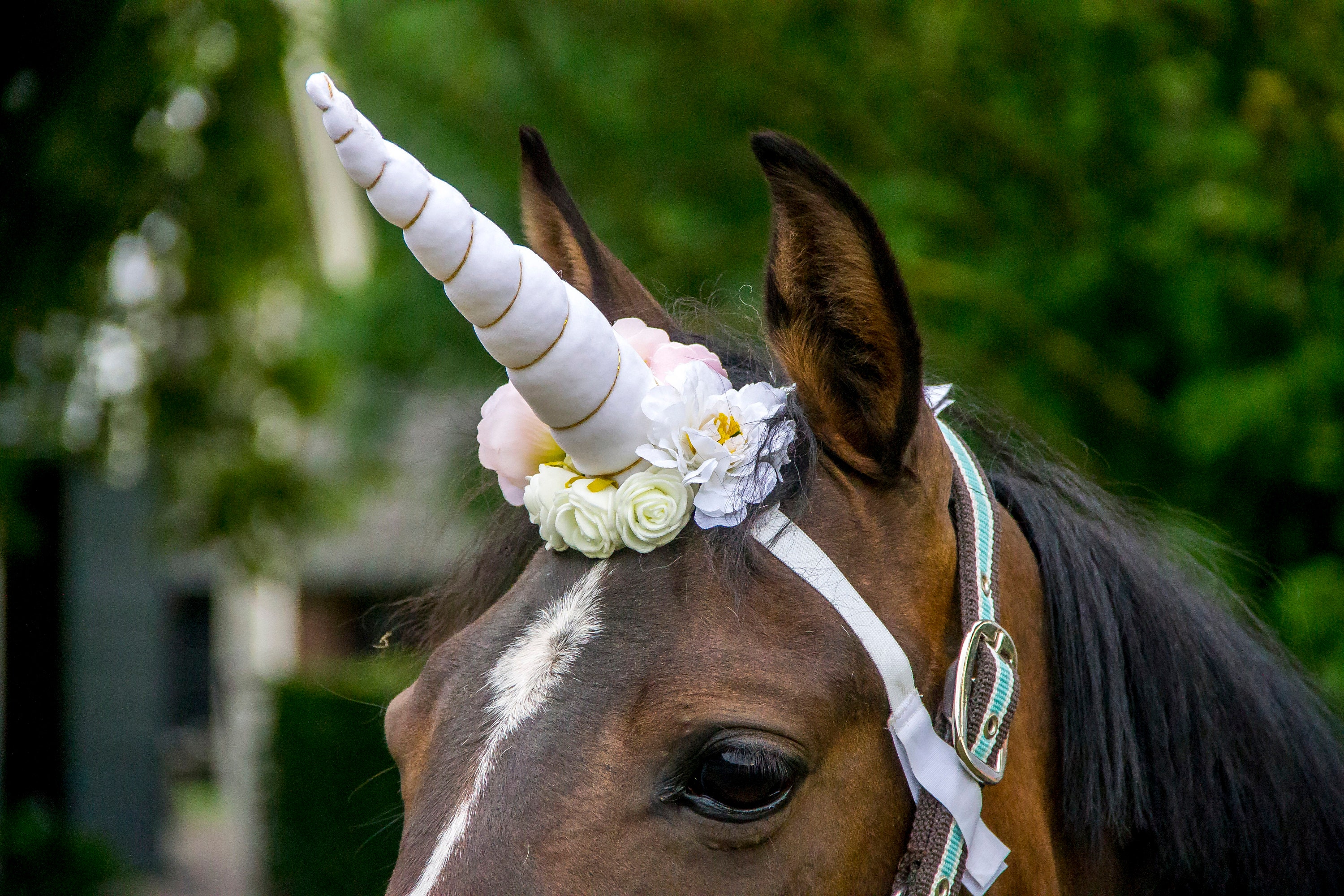 White unicorn horn for horse and pony with flowers free shipping