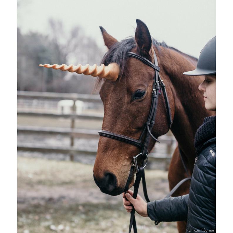 Unicorn horn for horses ponies realistic unicorn bridle attachment â unicorn corner