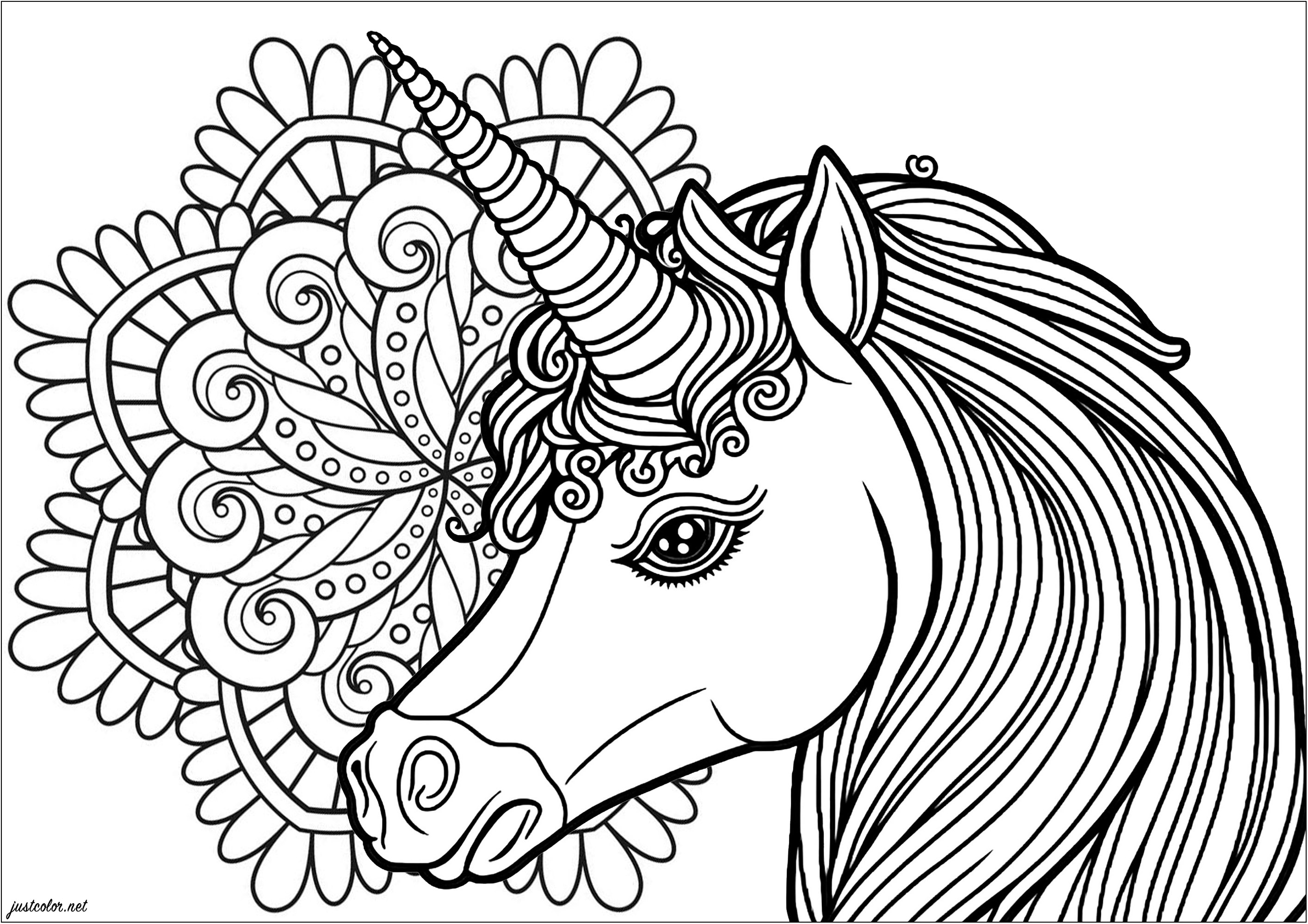 Unicorn profile with a cute mandala in the background