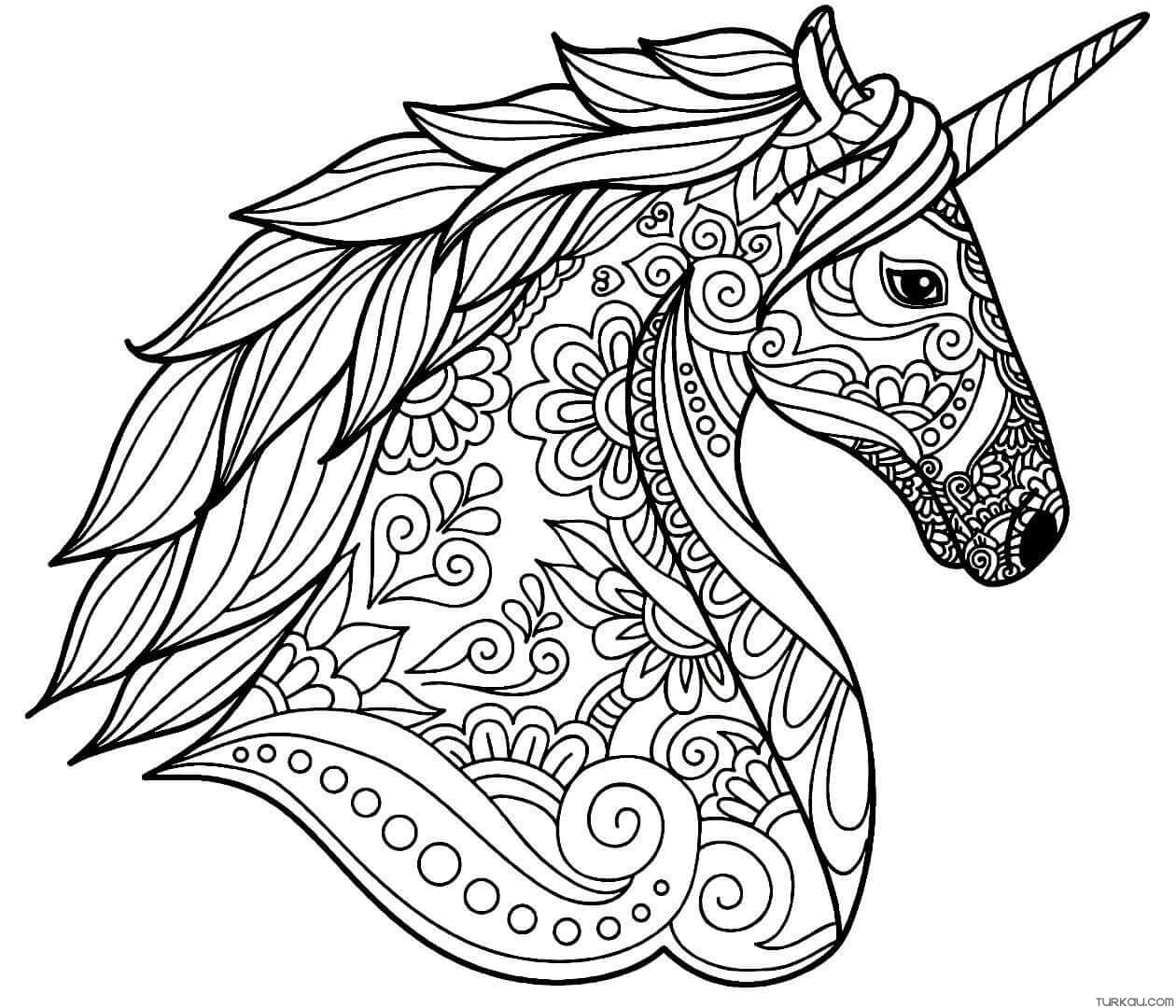 Unicorn flowers mandala coloring pages