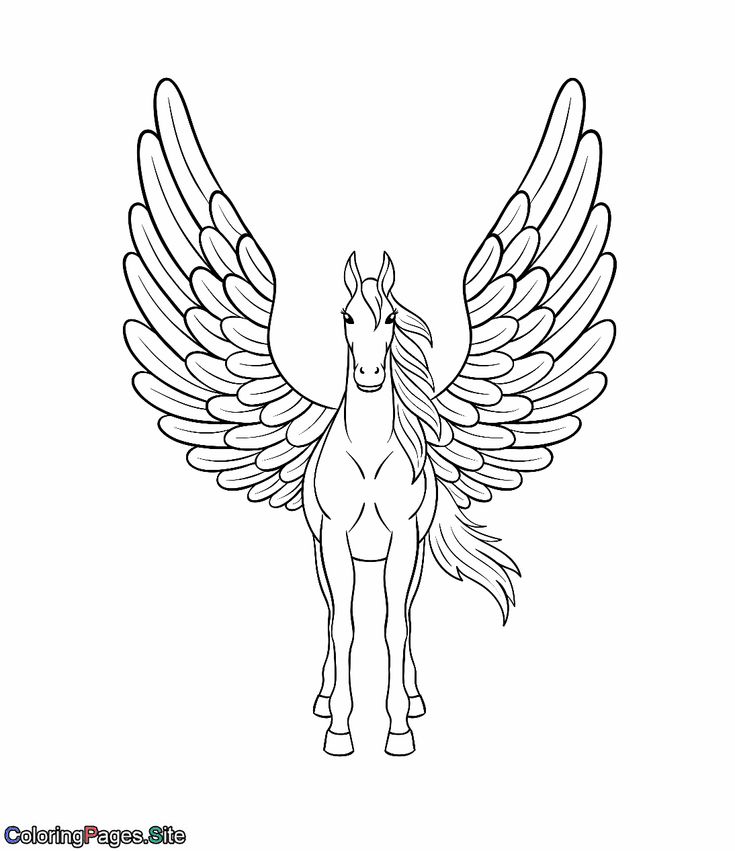 Pegasus with large wings coloring page unicorn coloring pages horse coloring pages bear coloring pages