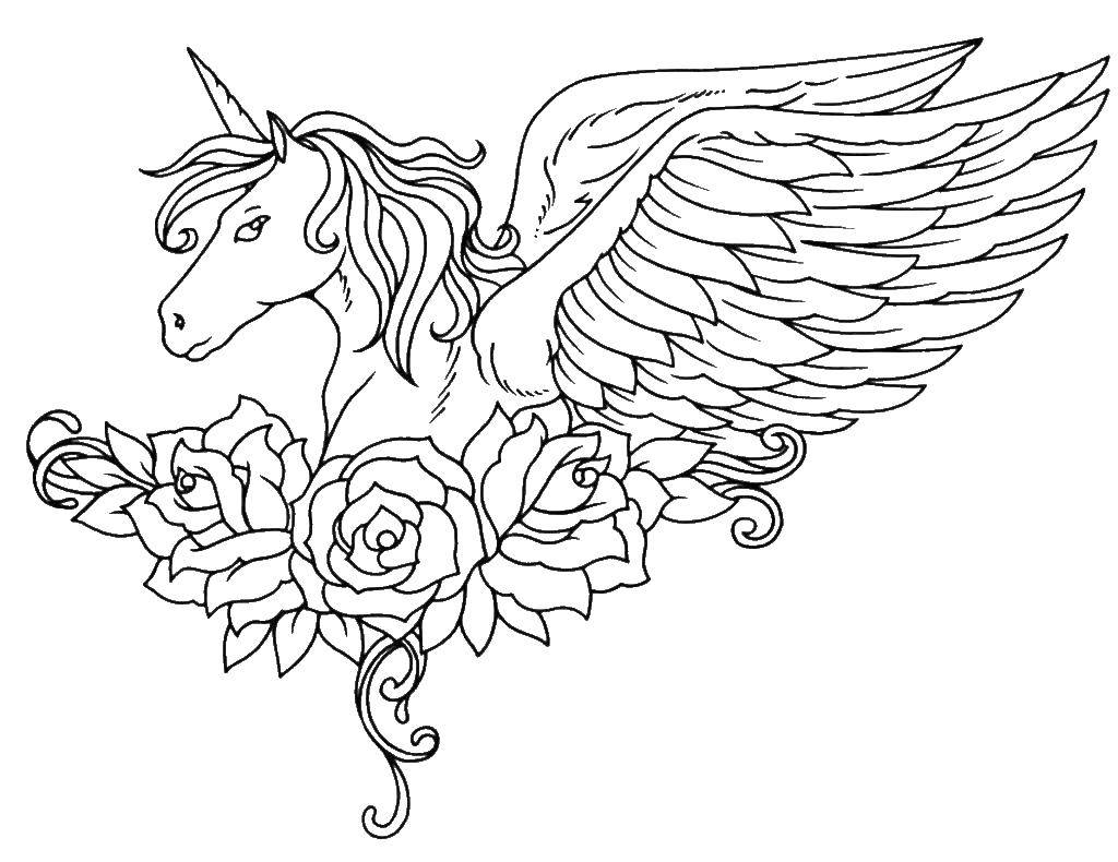 Online coloring pages coloring pegasus coloring
