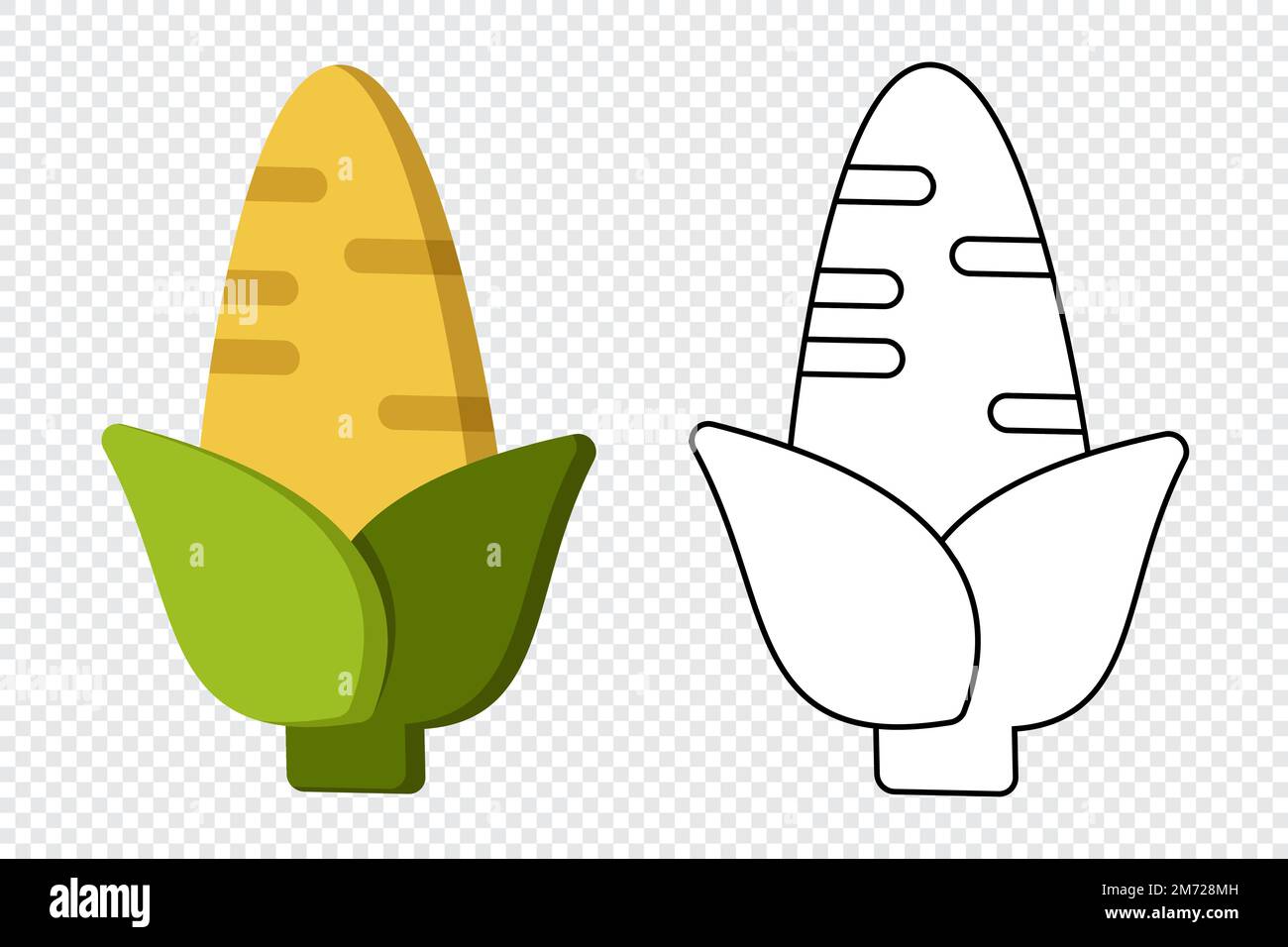 Baby sweet corn stock vector images
