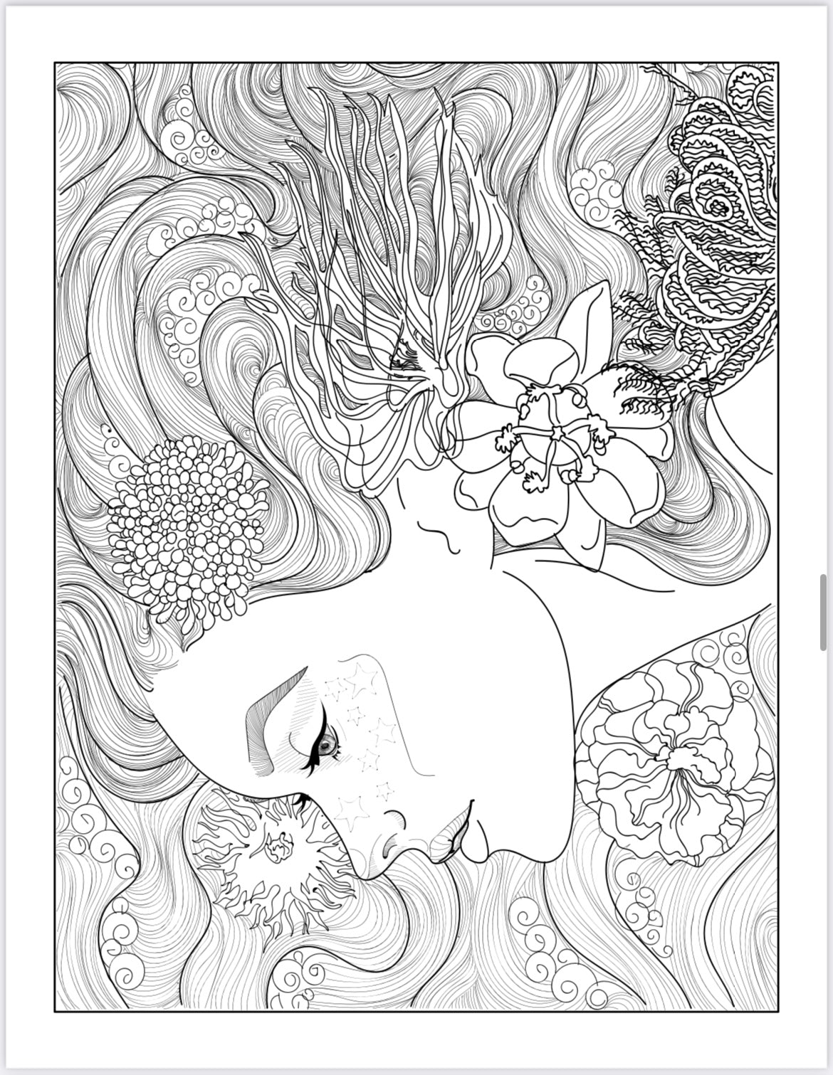 Adult coloring book