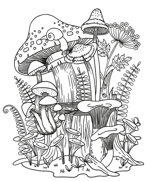 Adult coloring pages mushrooms images stock photos d objects vectors