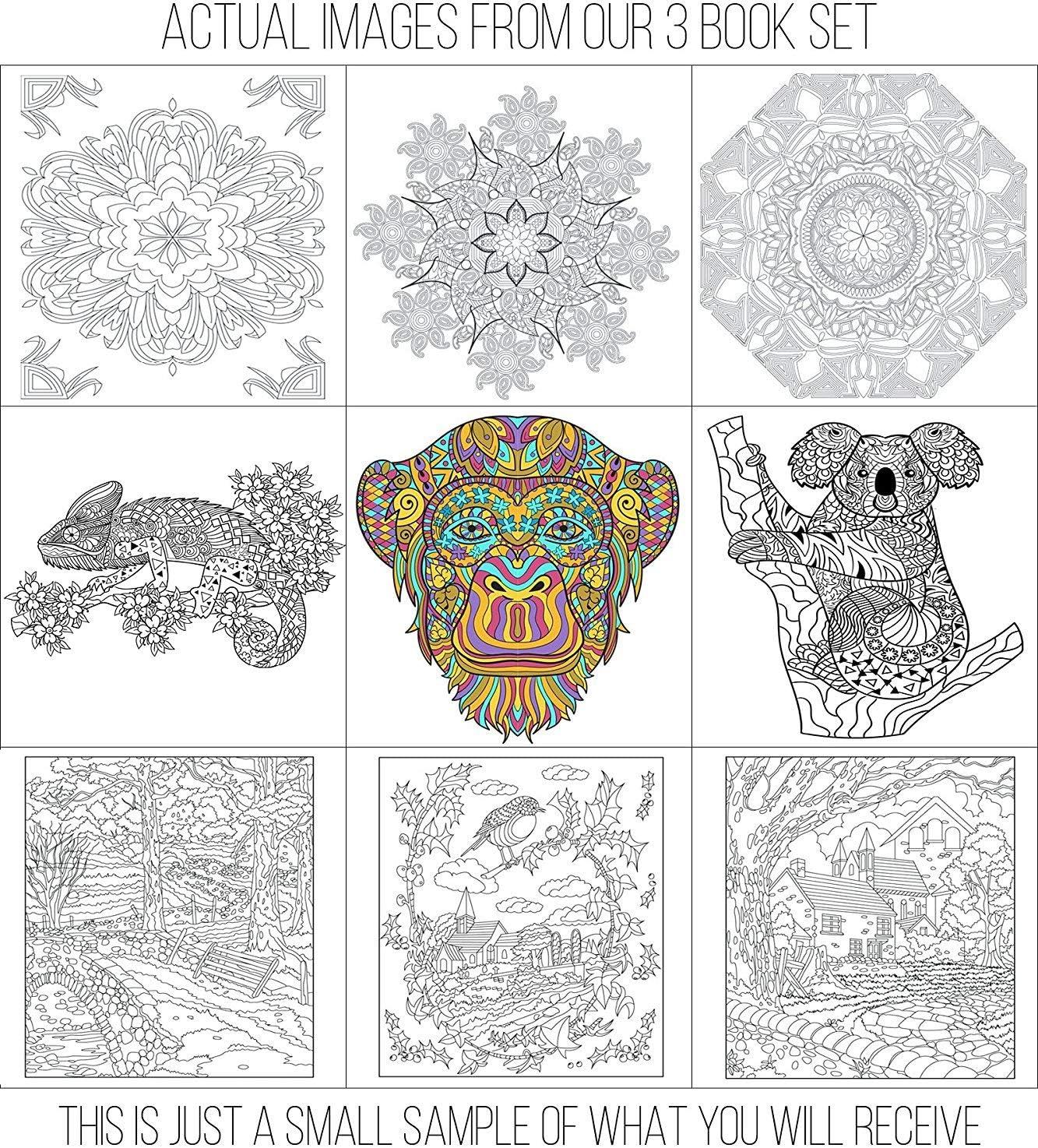 Adult coloring books set
