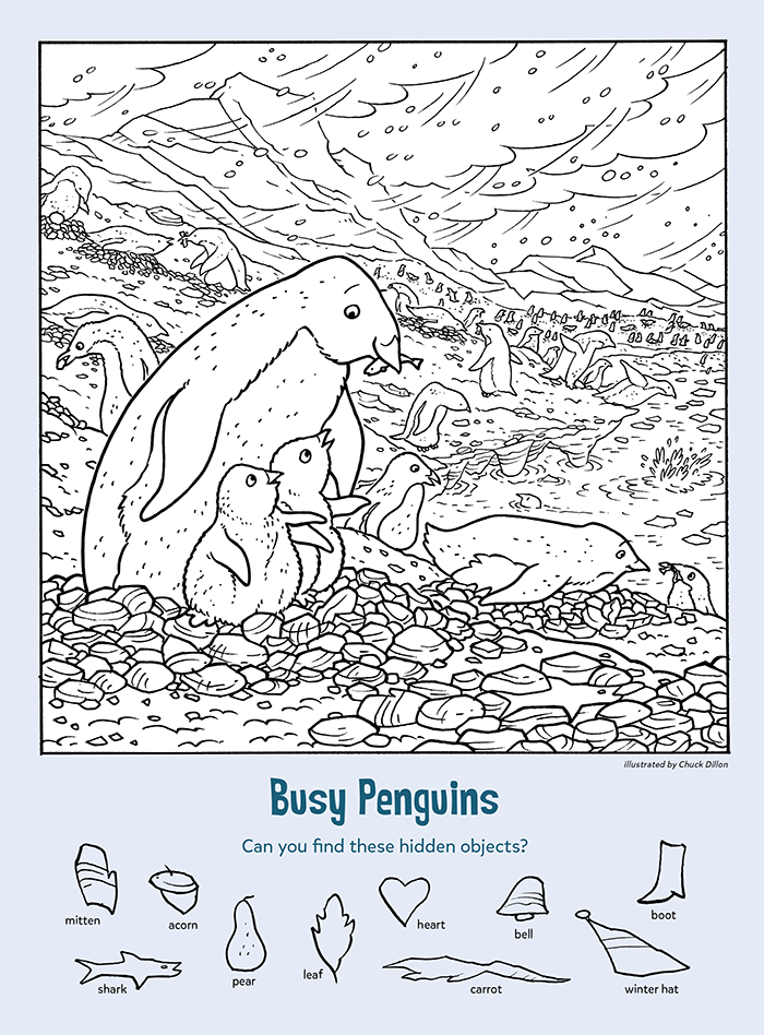 Busy penguins find the hidden objects kids game activity kids answers