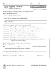 The urinary system worksheet for th