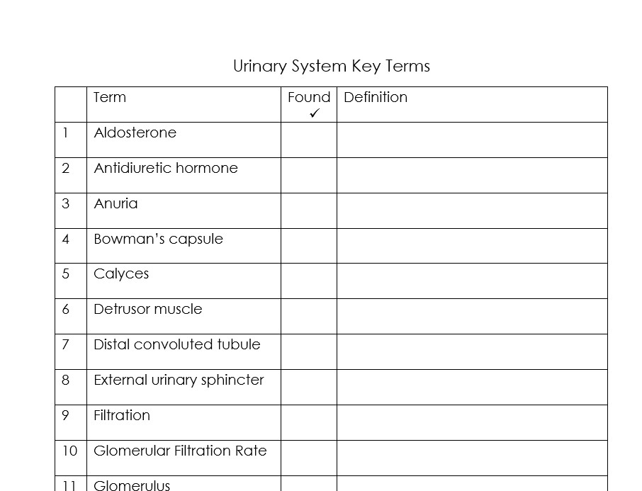 Urinary system word collage vocabulary coloring biology anatomy made by teachers