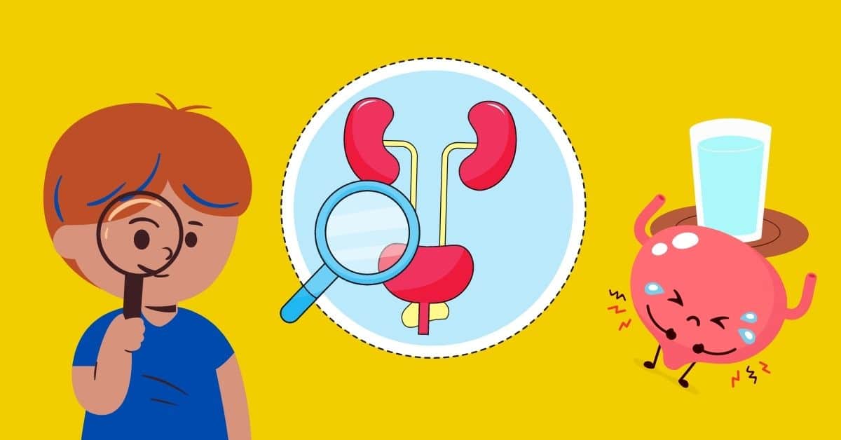 Urine lesson plans fun facts about pee for kids to learn