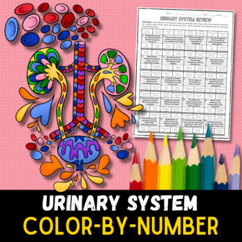 Urinary system color