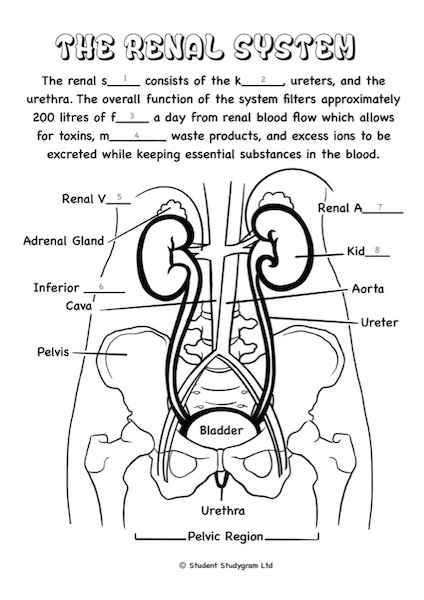 Healthcare students louring book a â student midwife studygram
