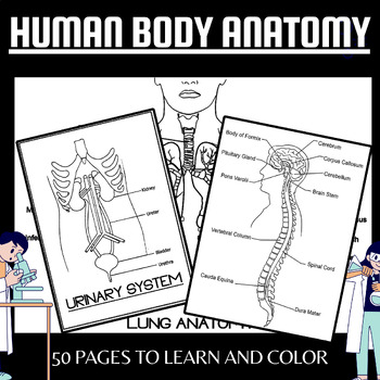 Anatomy and physiology coloring page tpt