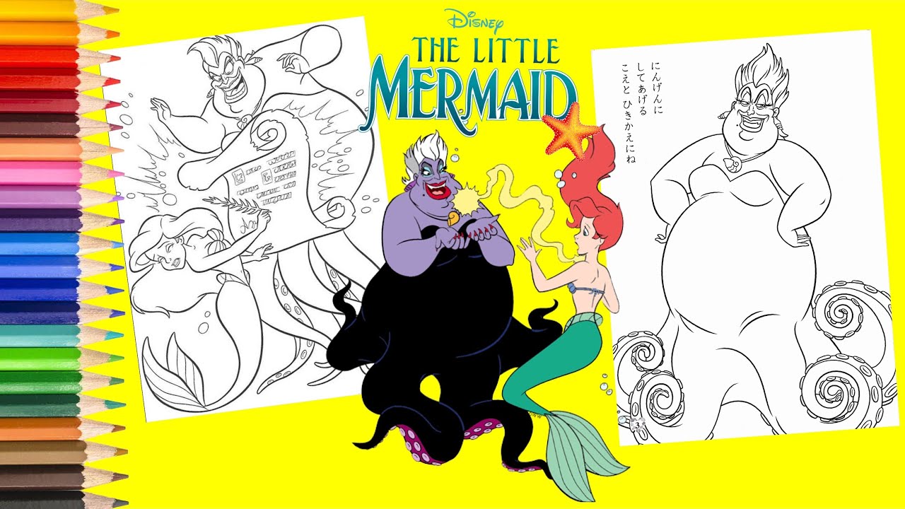 Coloring the little eraid