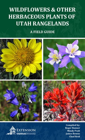 Wildflowers and other herbaceous plants of utah rangelands by utah state university extension