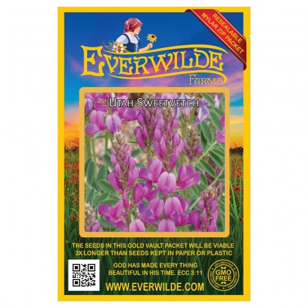 Hedysarum boreale utah sweetvetch wildflower seeds