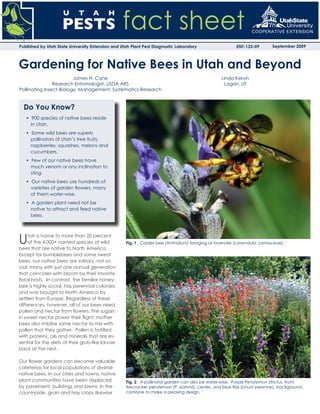 Gardening for native bees in utah and beyond pdf