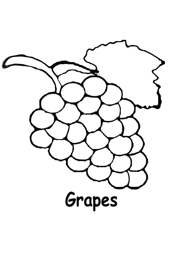 Uva para colorir coloring pictures coloring pages vines