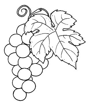 Uvas para colorir