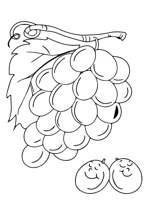 Uva para colorir coloring pages color print