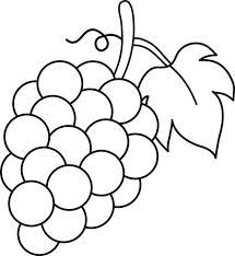 Desenhos de uva para imprimir e colorirpintar desenho de uva uva para colorir desenhos