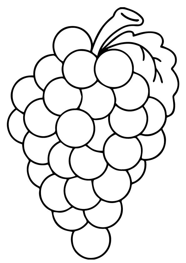 Uva para colorir fruit coloring pages coloring pages grape drawing