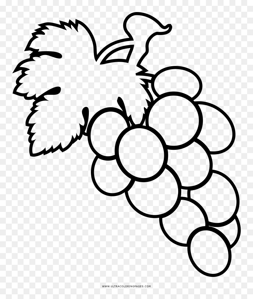 Dibujo de uvas para colorear ultra coloring pages noticeable