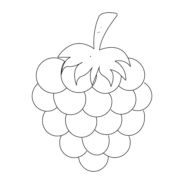 Premium vector line art of grape grape vector icon coloring sheet for kids